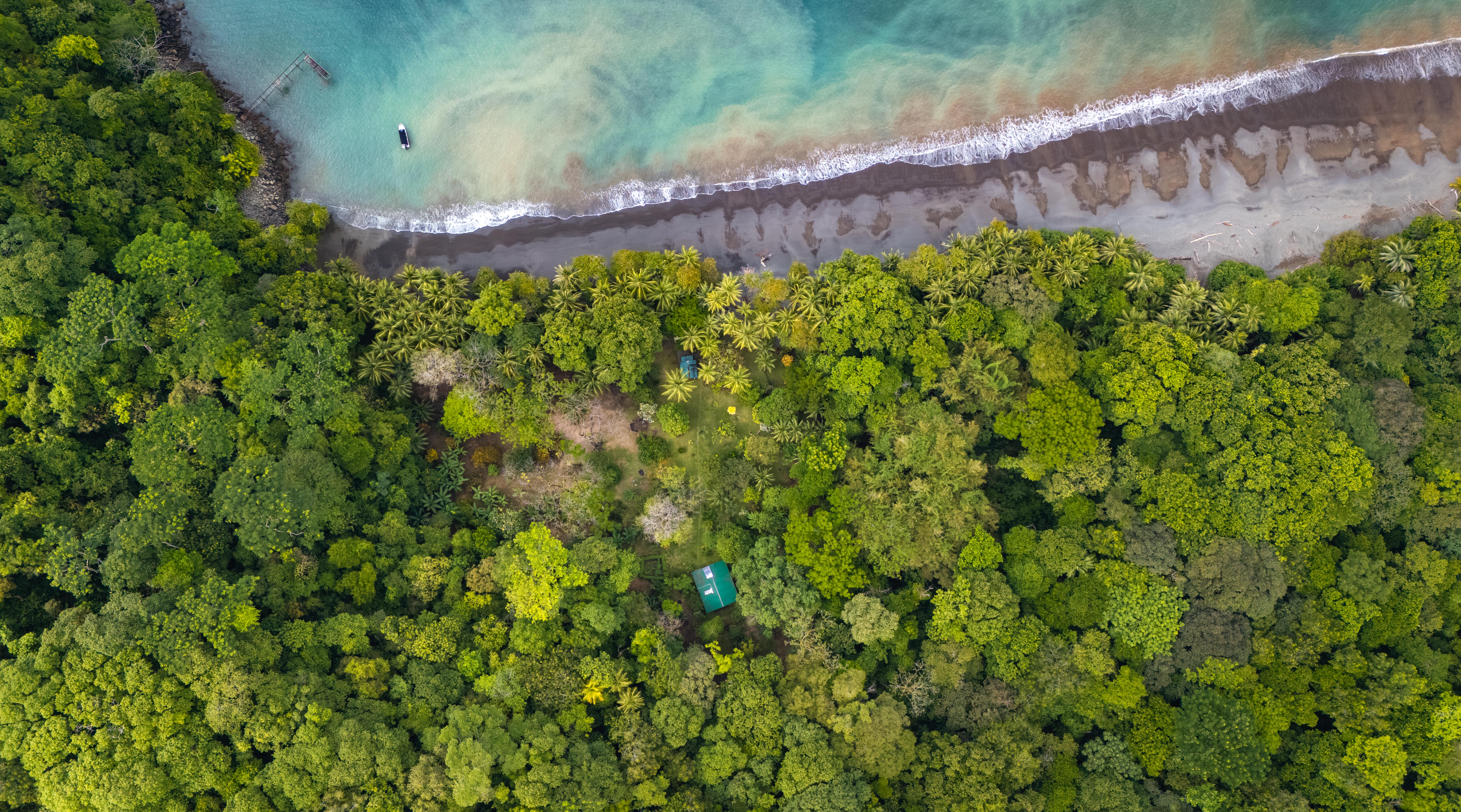 0 bed Land For Sale in Golfito, Puntarenas - thumb 8