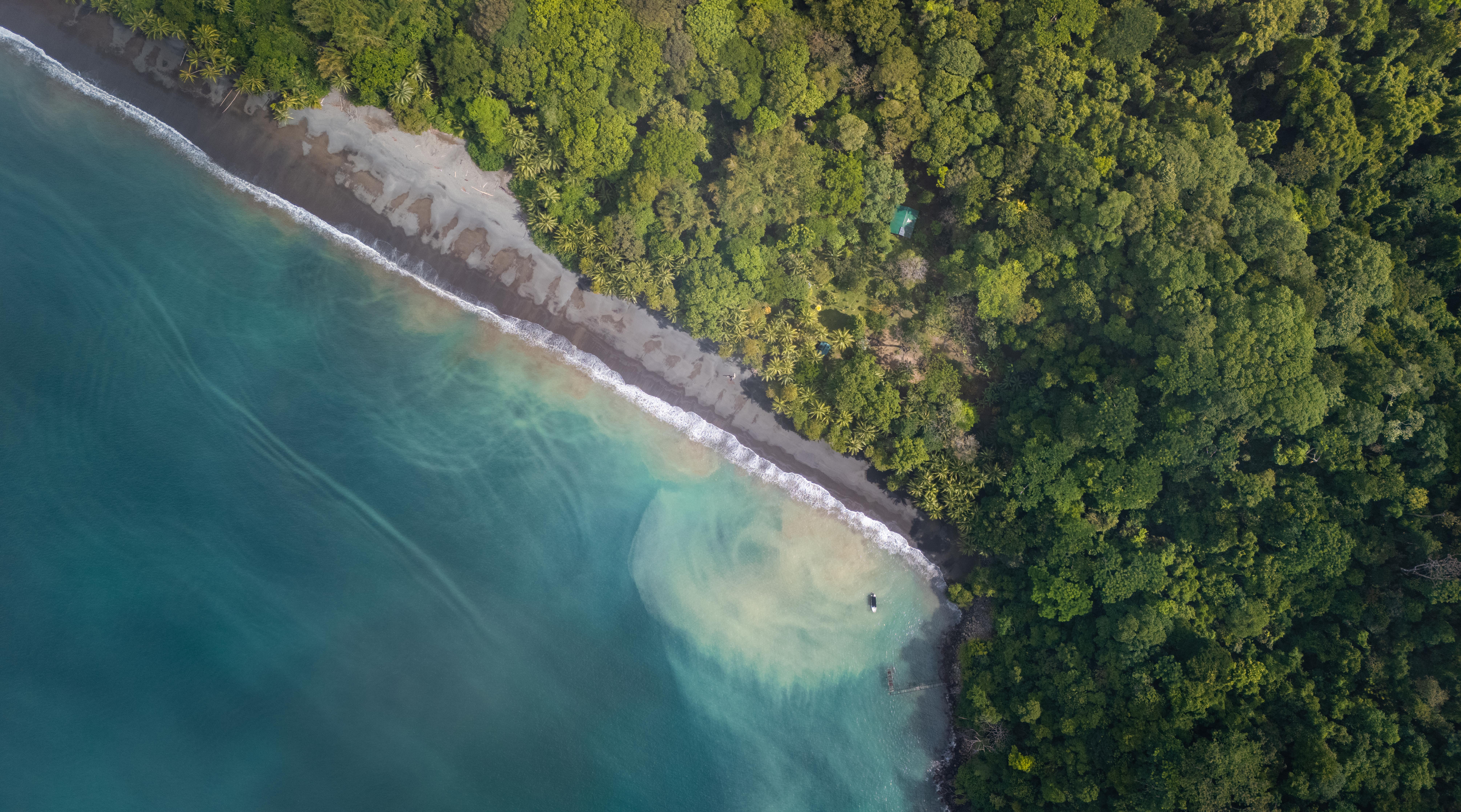 0 bed Land For Sale in Golfito, Puntarenas - thumb 1