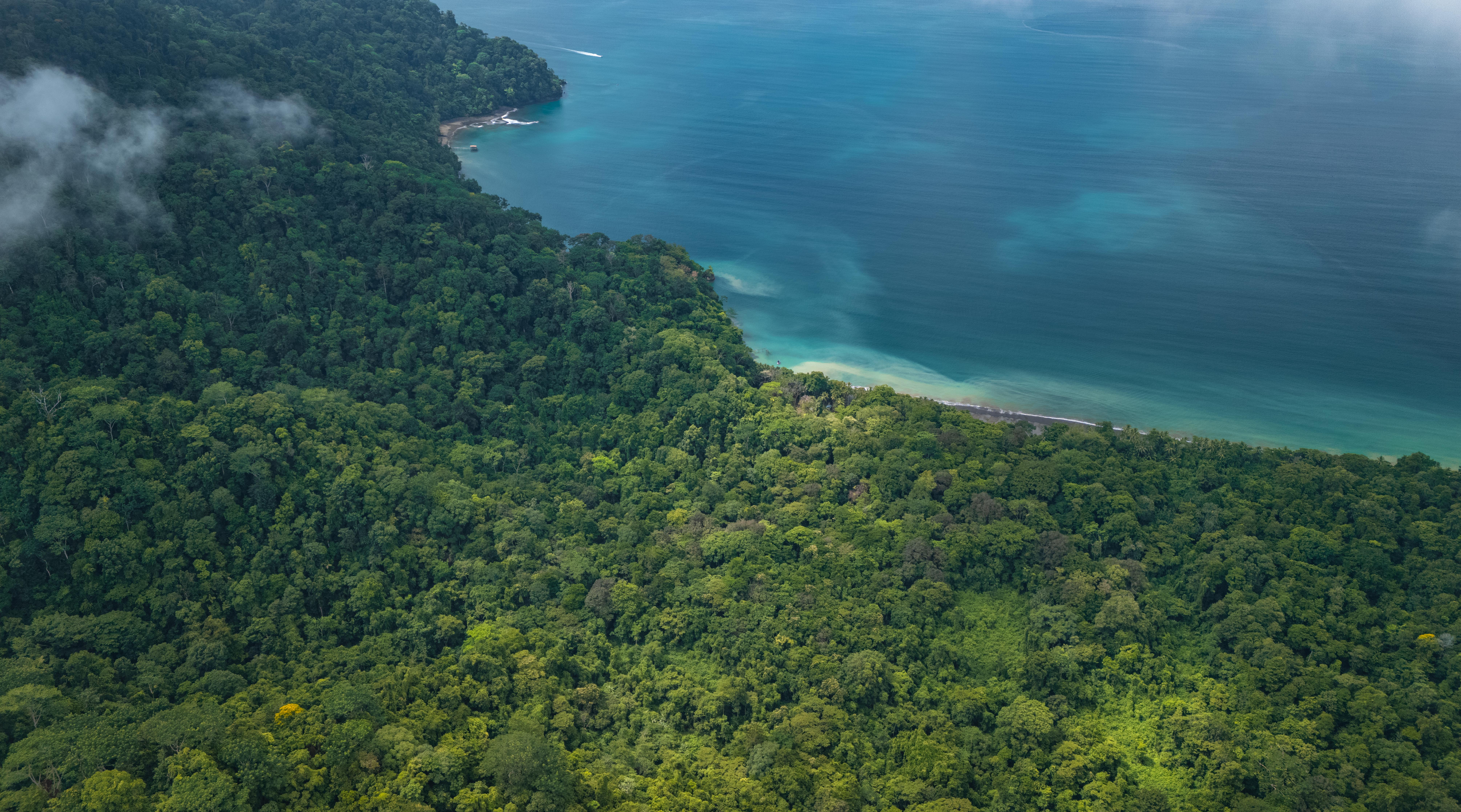 0 bed Land For Sale in Golfito, Puntarenas - thumb 9