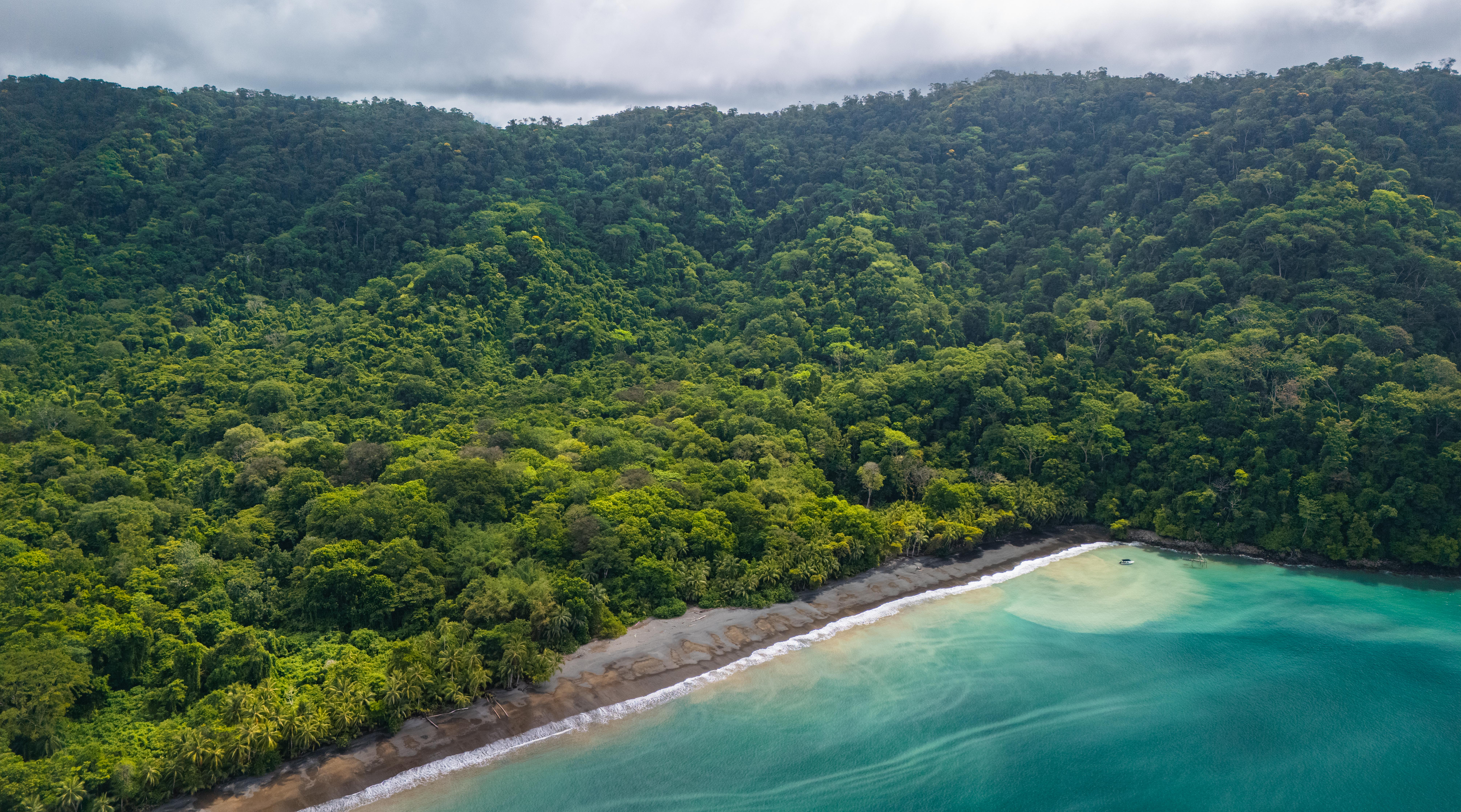 0 bed Land For Sale in Golfito, Puntarenas - thumb 5