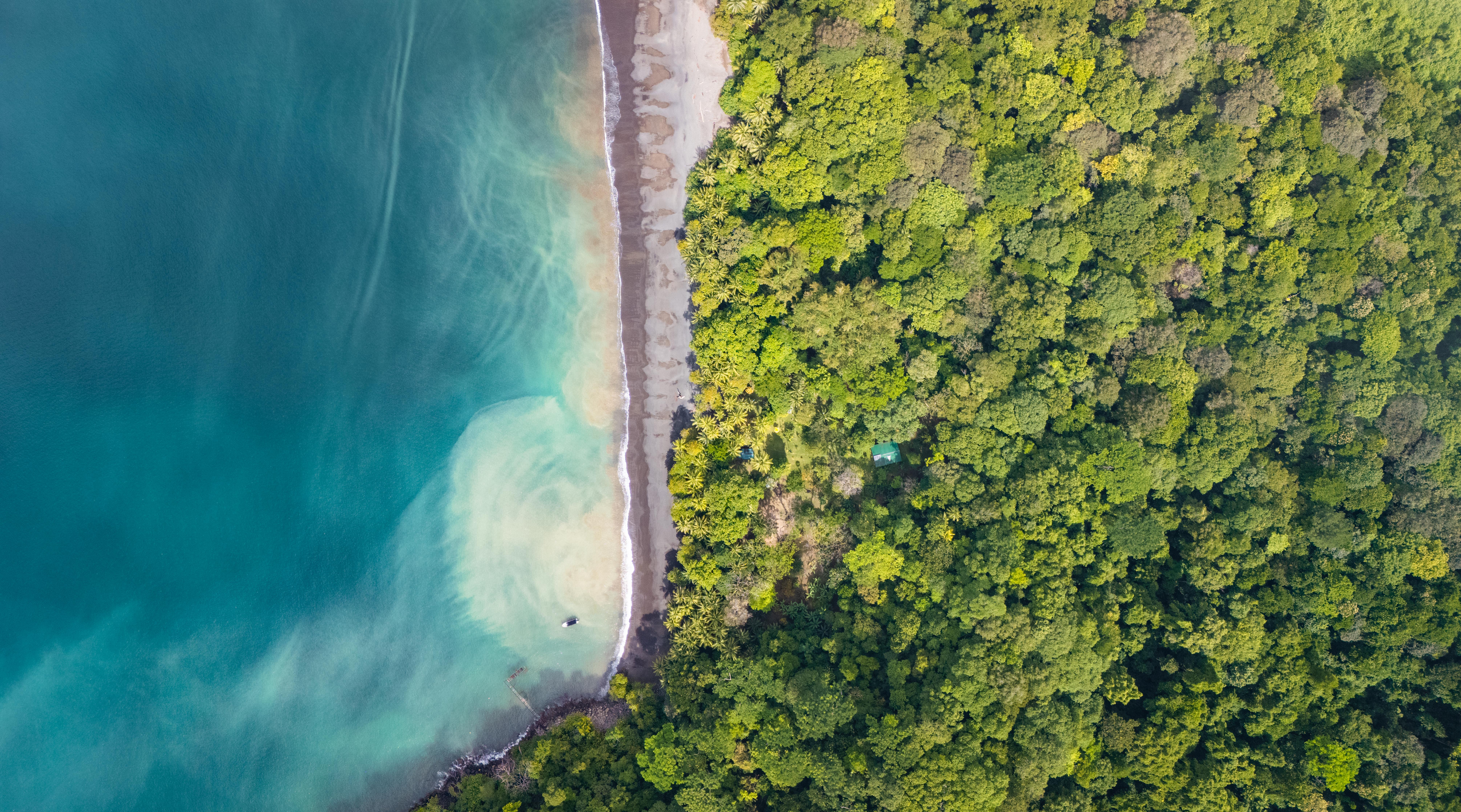 0 bed Land For Sale in Golfito, Puntarenas - thumb 4