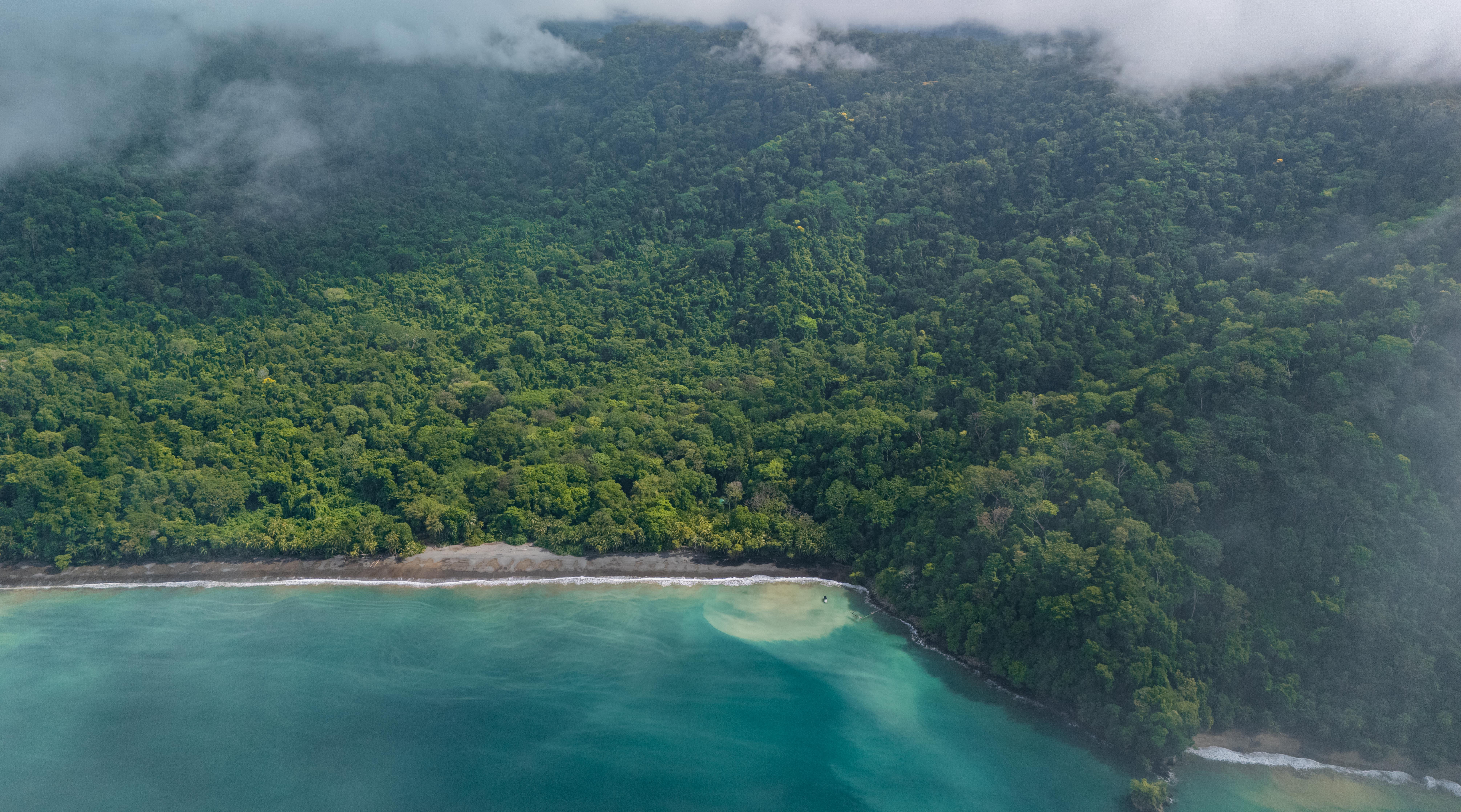 0 bed Land For Sale in Golfito, Puntarenas - thumb 6
