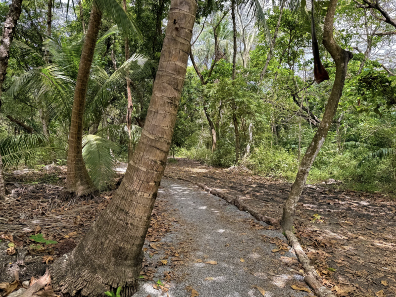 0 bed Land For Sale in Playa Hermosa Santa Teresa, Puntarenas - hero 6