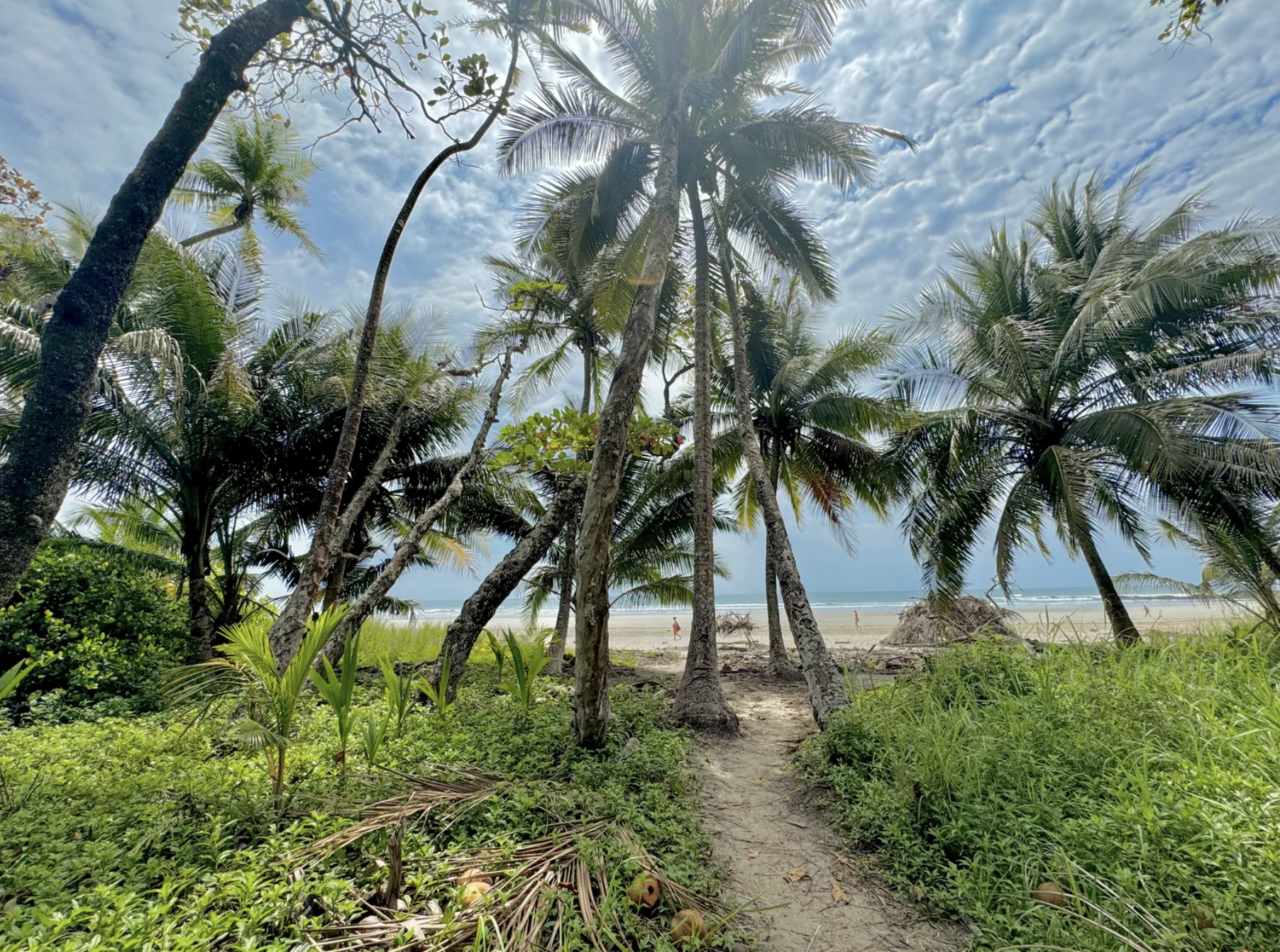 0 bed Land For Sale in Playa Hermosa Santa Teresa, Puntarenas - thumb 4
