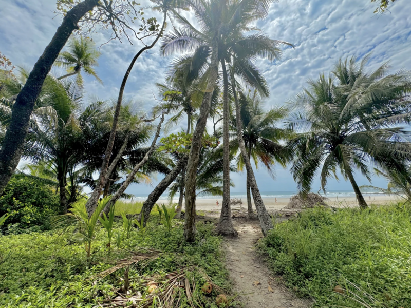 0 bed Land For Sale in Playa Hermosa Santa Teresa, Puntarenas - hero 4