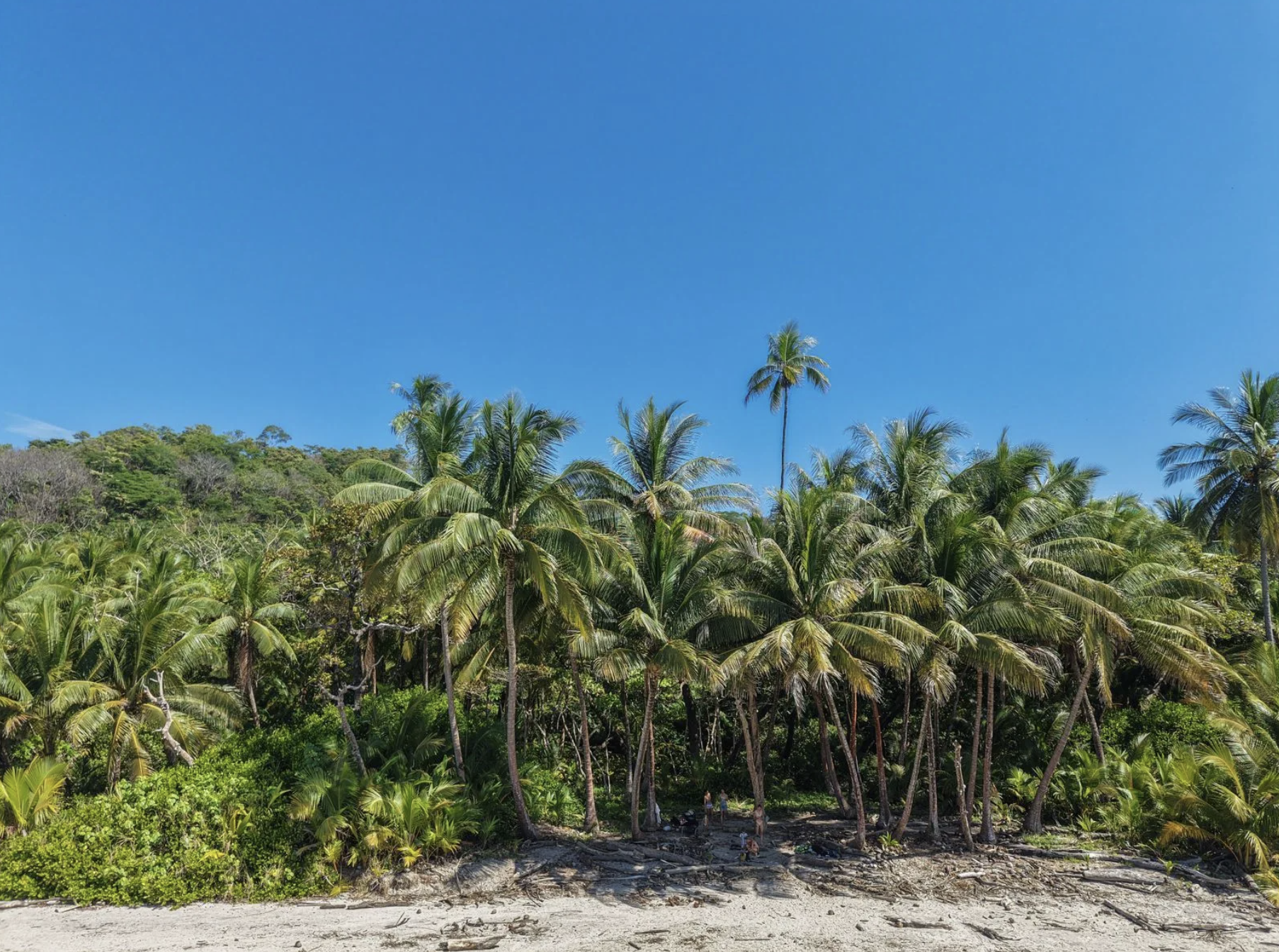 0 bed Land For Sale in Playa Hermosa Santa Teresa, Puntarenas - thumb 5