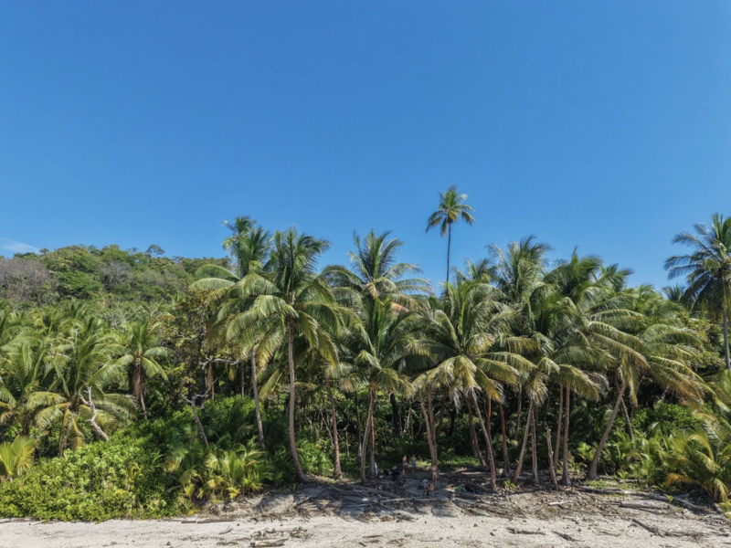 0 bed Land For Sale in Playa Hermosa Santa Teresa, Puntarenas - hero 5