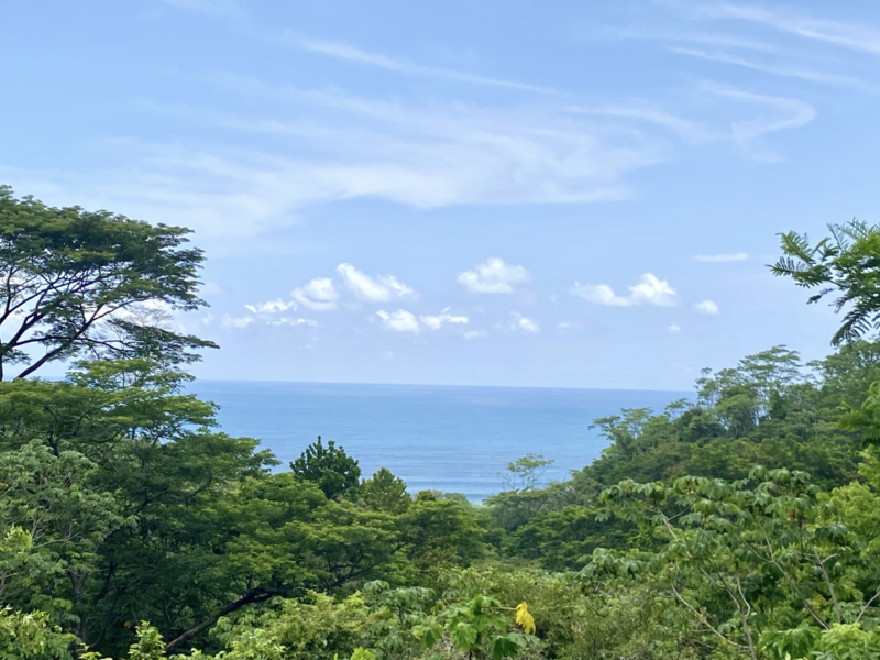 0 bed Land For Sale in Santa Teresa, Puntarenas - 1