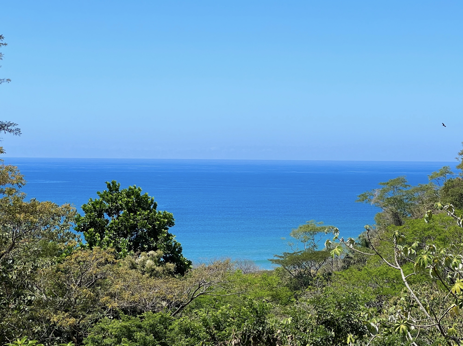 0 bed Land For Sale in Santa Teresa, Puntarenas - thumb 5