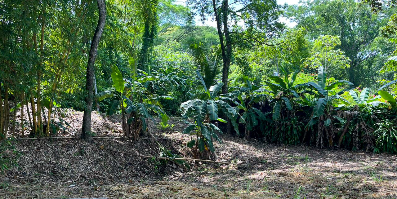 0 bed Land For Sale in Santiago, Puntarenas - thumb 6