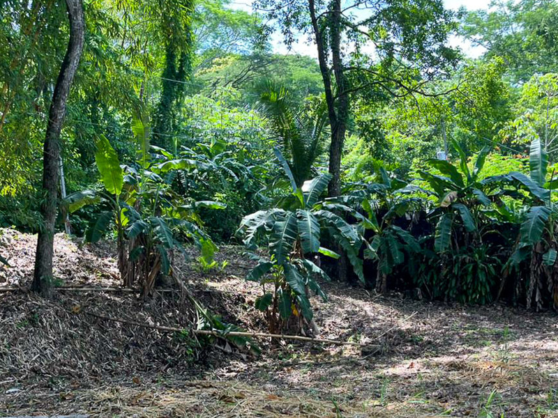0 bed Land For Sale in Santiago, Puntarenas - hero 6