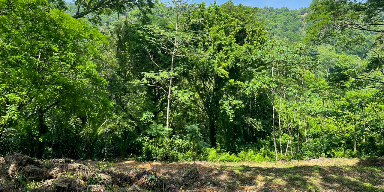 0 bed Land For Sale in Santiago, Puntarenas - thumb 4