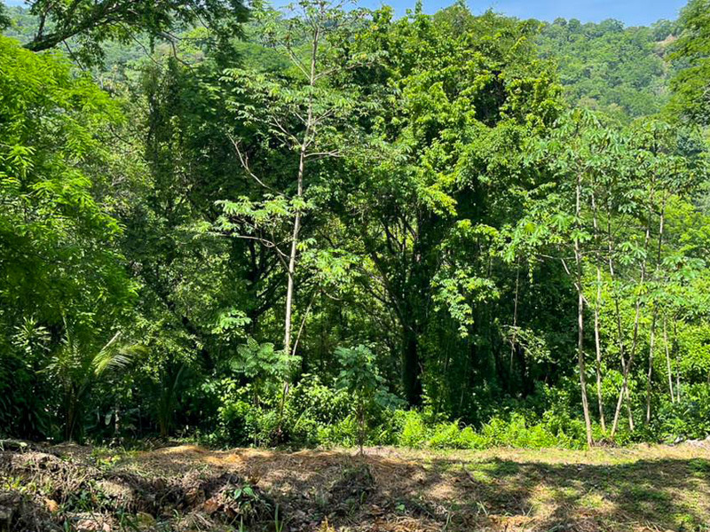 0 bed Land For Sale in Santiago, Puntarenas - hero 4