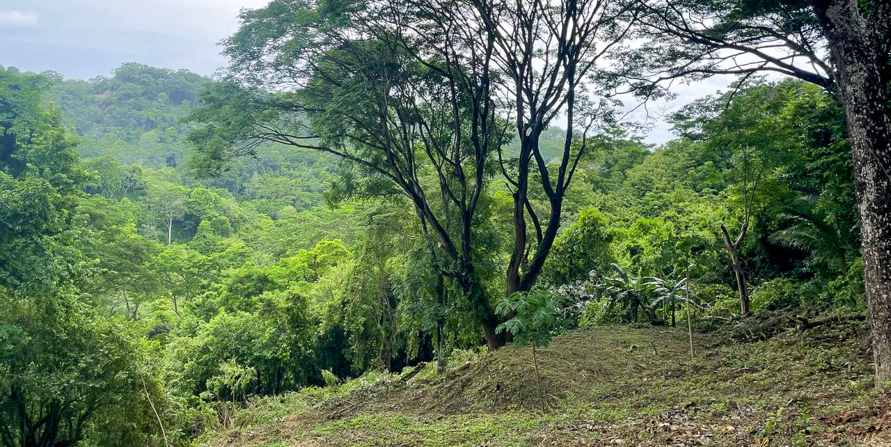 0 bed Land For Sale in Santiago, Puntarenas - thumb 3