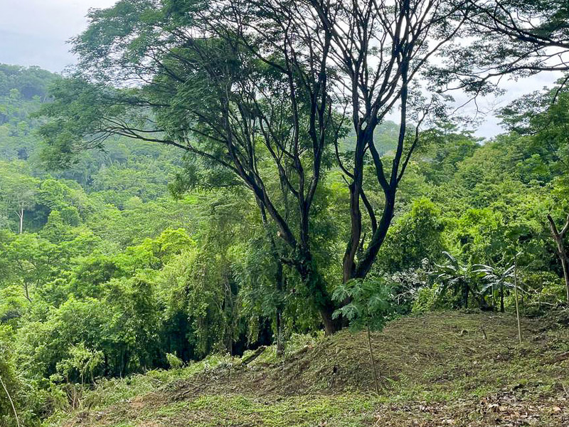 0 bed Land For Sale in Santiago, Puntarenas - hero 3