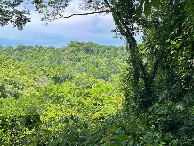 0 bed Land For Sale in Santiago, Puntarenas - hero 5