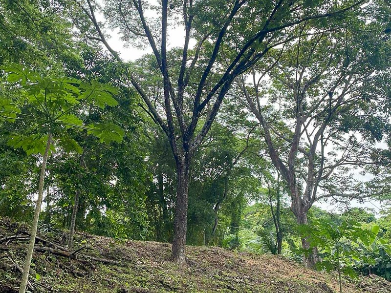 0 bed Land For Sale in Santiago, Puntarenas - hero 2