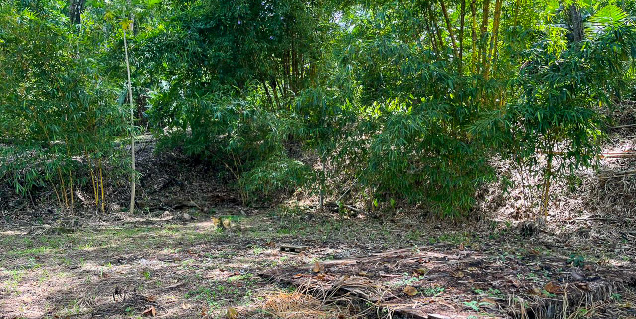 0 bed Land For Sale in Santiago, Puntarenas - thumb 1