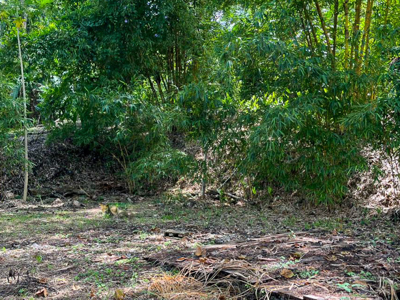 0 bed Land For Sale in Santiago, Puntarenas - 1