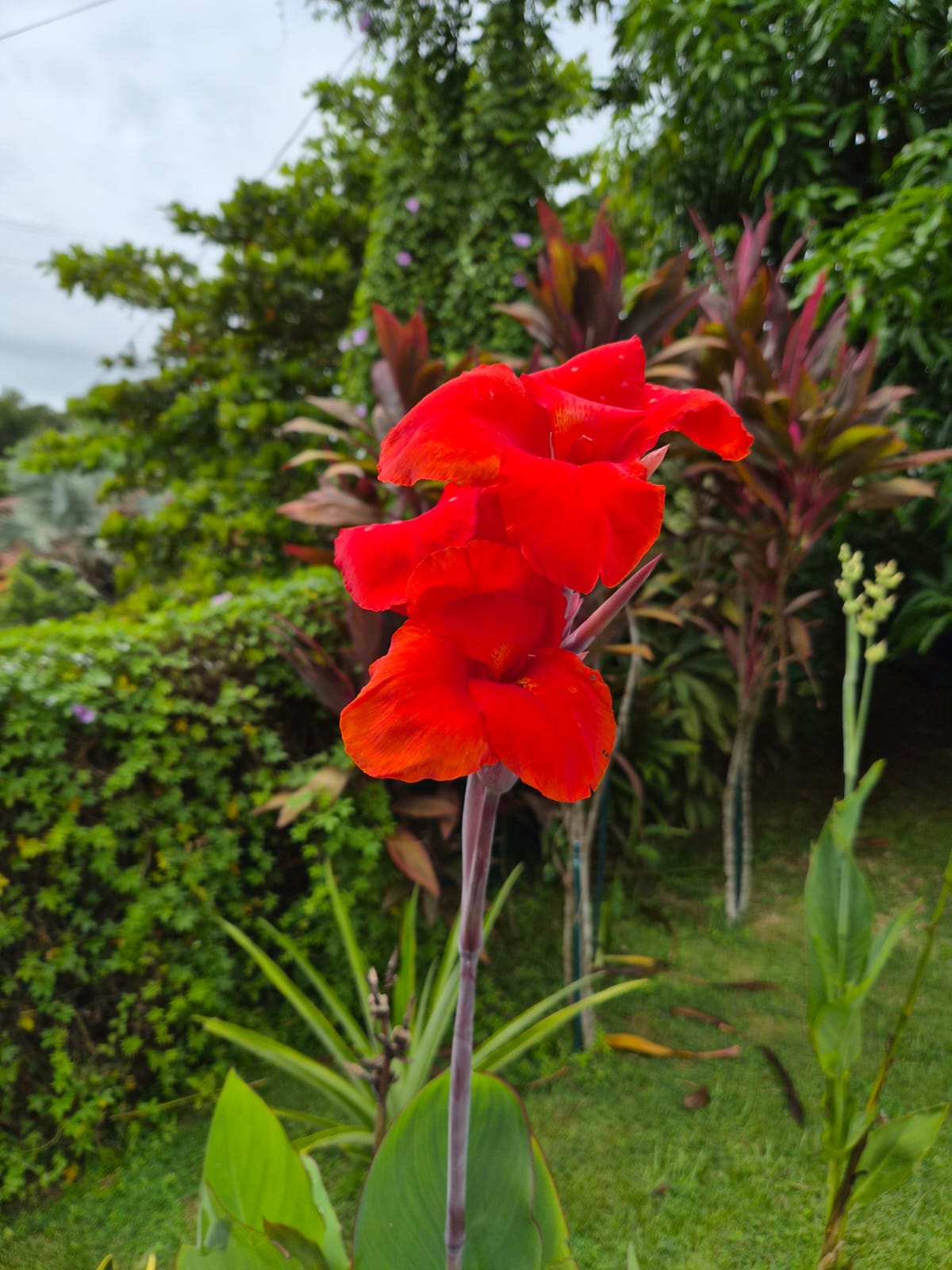 3 bed Single Family Homes For Sale in Playa Bejuco, Puntarenas - thumb 22