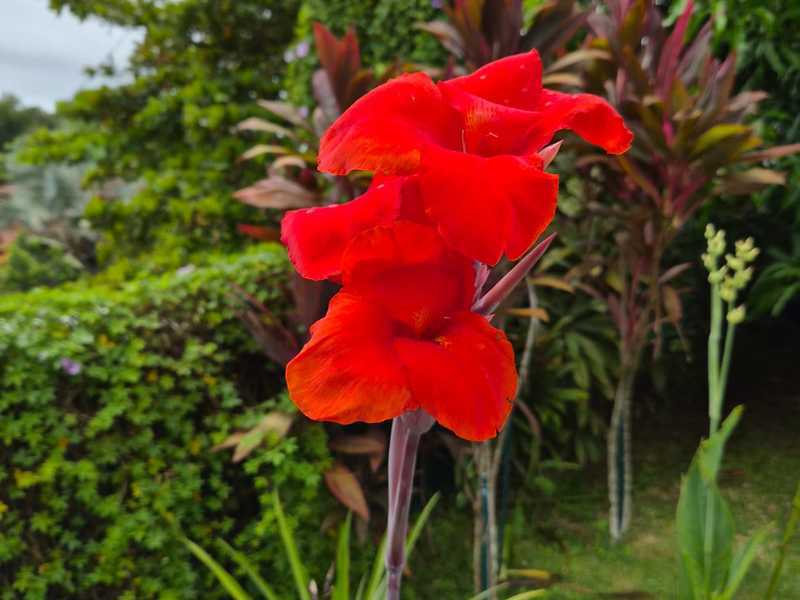 3 bed Single Family Homes For Sale in Playa Bejuco, Puntarenas - hero 22