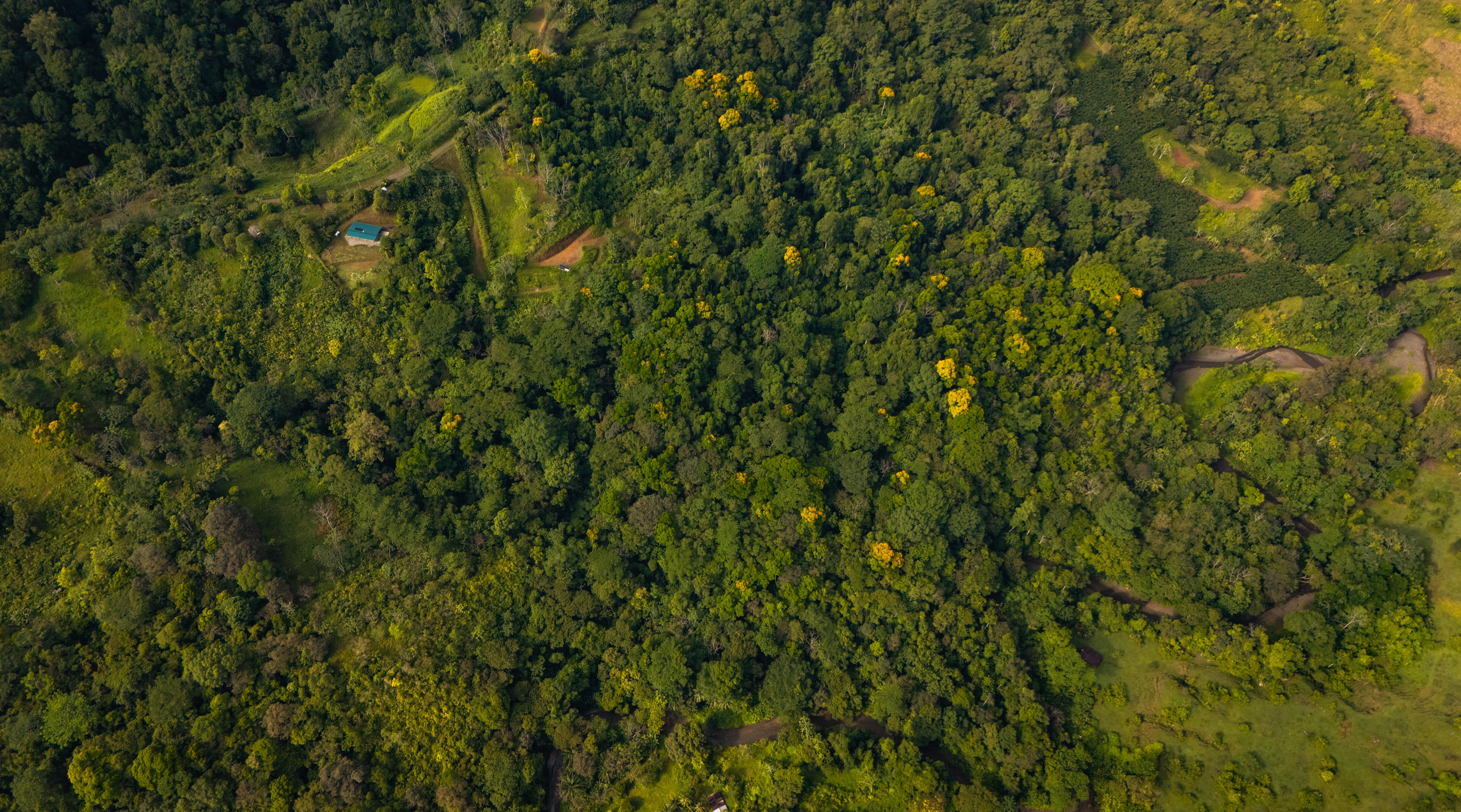 2 bed Single Family Homes For Sale in Puerto Jimenez, Puntarenas - thumb 8