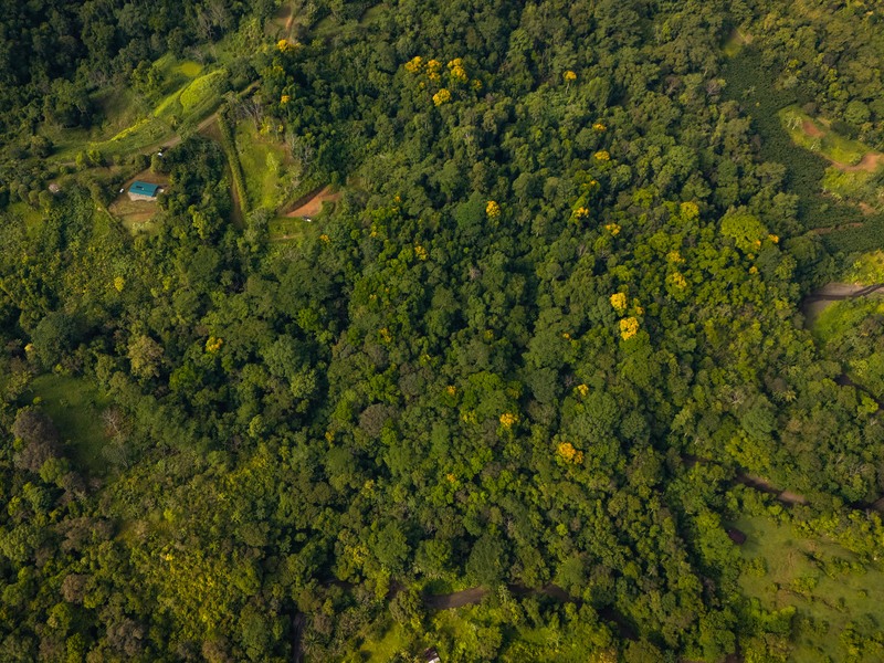 2 bed Single Family Homes For Sale in Puerto Jimenez, Puntarenas - hero 8