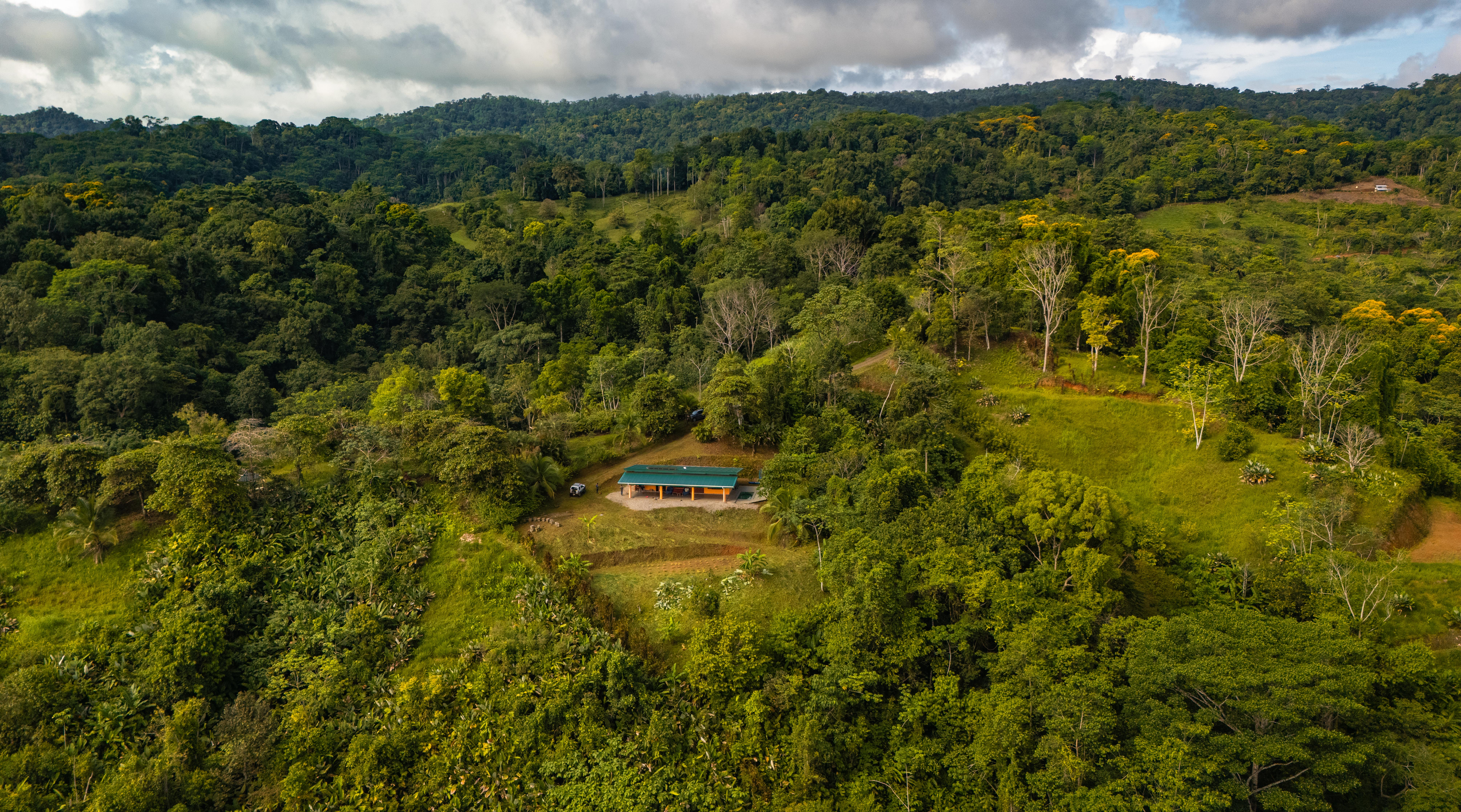 2 bed Single Family Homes For Sale in Puerto Jimenez, Puntarenas - thumb 5