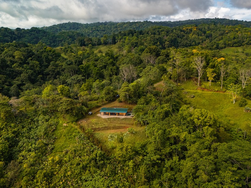 2 bed Single Family Homes For Sale in Puerto Jimenez, Puntarenas - hero 5