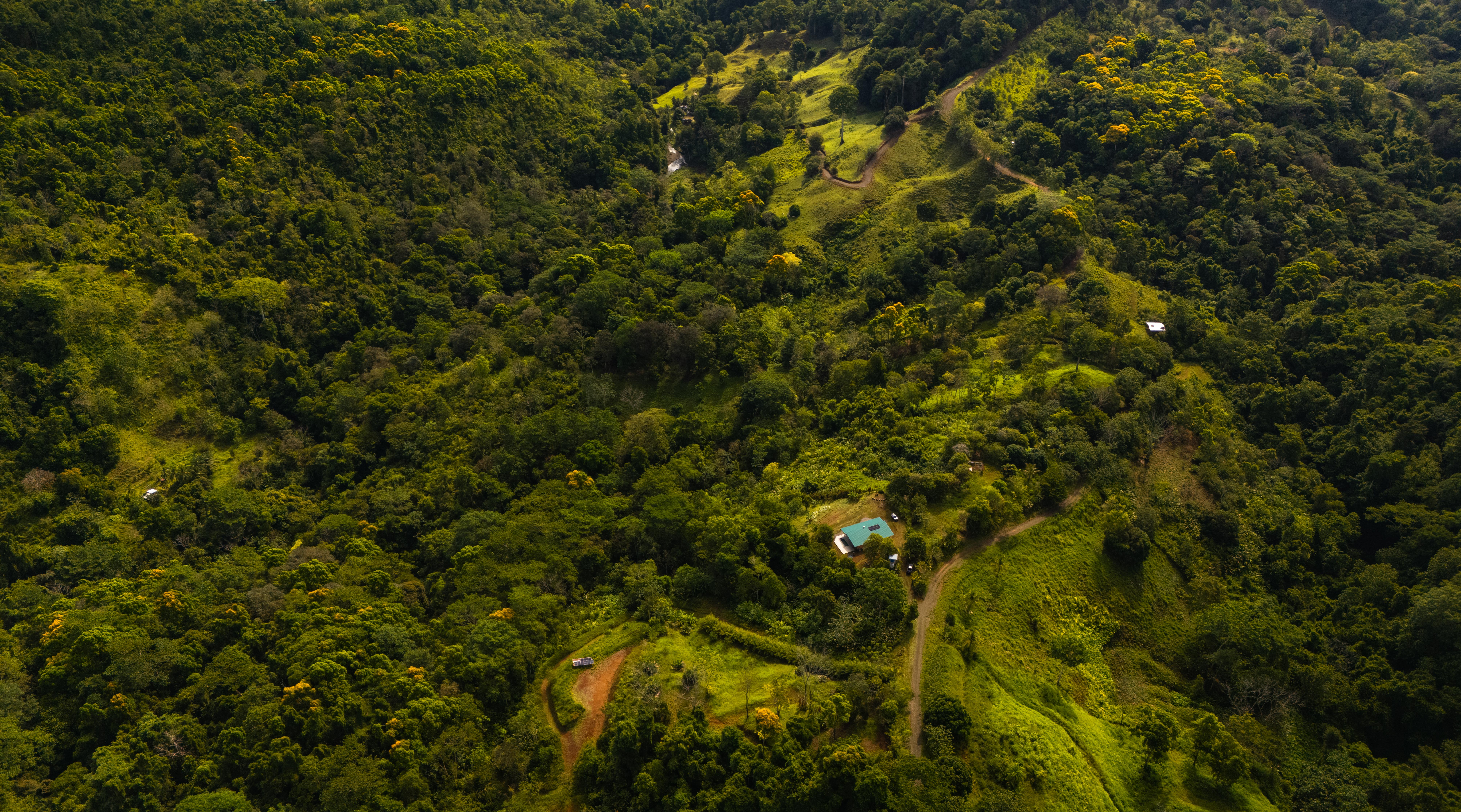 2 bed Single Family Homes For Sale in Puerto Jimenez, Puntarenas - thumb 4