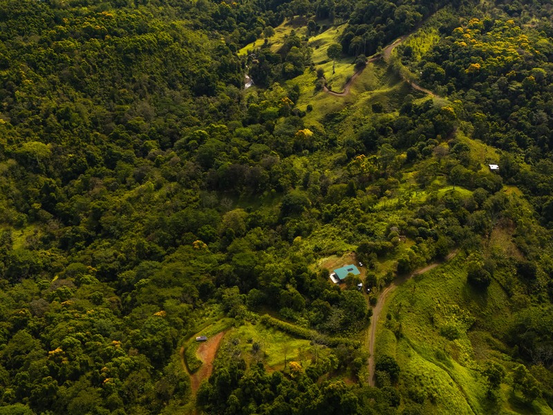 2 bed Single Family Homes For Sale in Puerto Jimenez, Puntarenas - hero 4