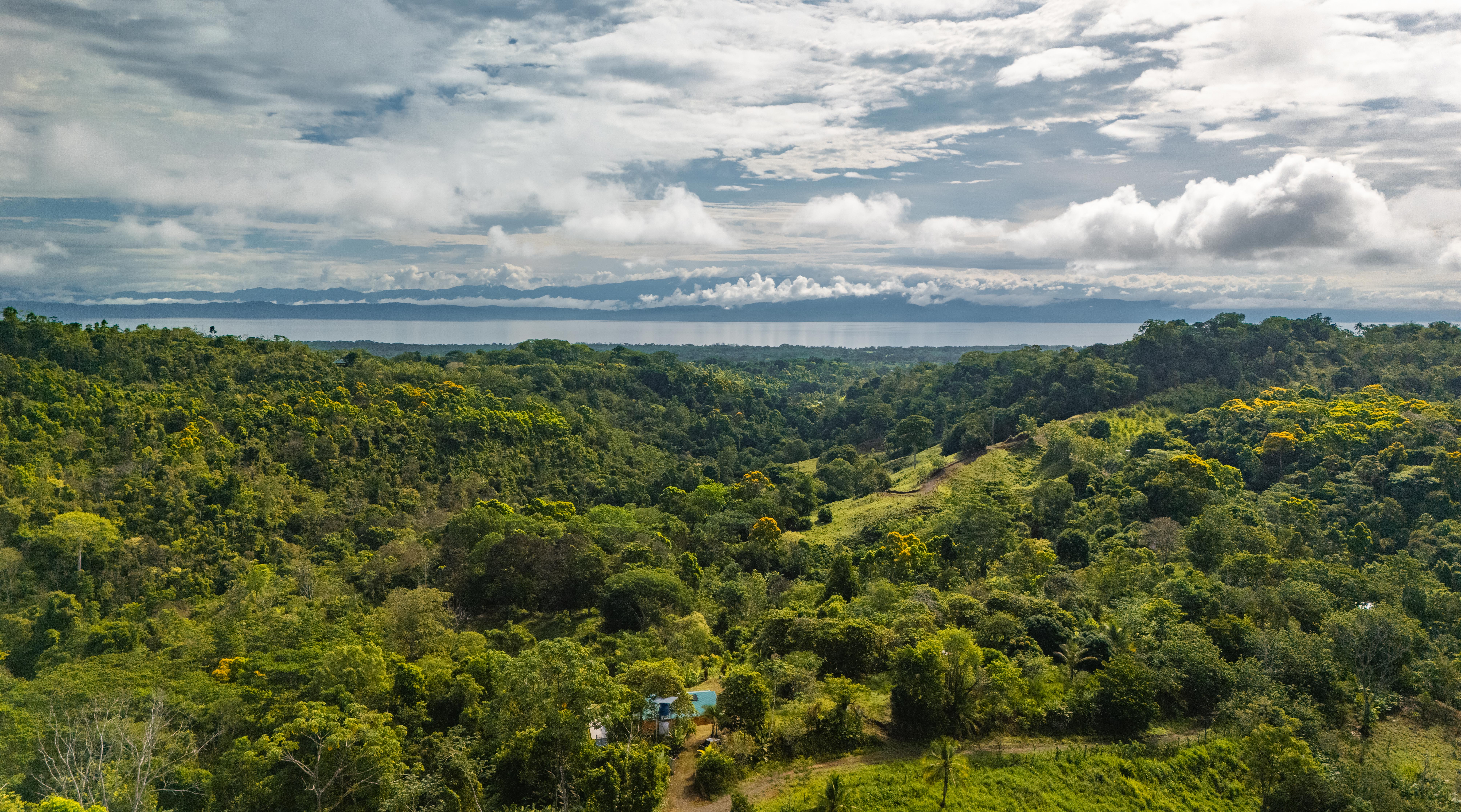 2 bed Single Family Homes For Sale in Puerto Jimenez, Puntarenas - thumb 3