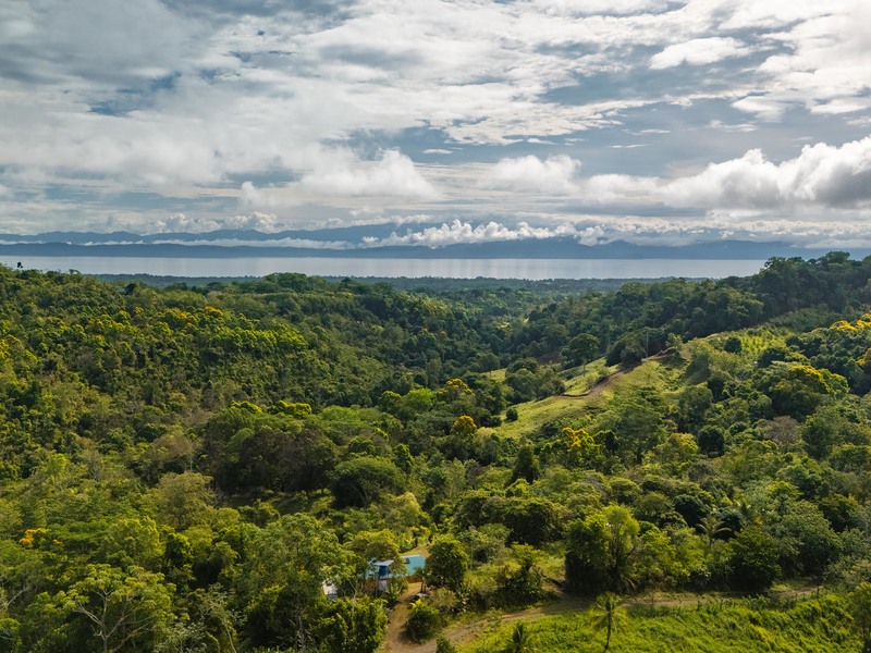 2 bed Single Family Homes For Sale in Puerto Jimenez, Puntarenas - hero 3