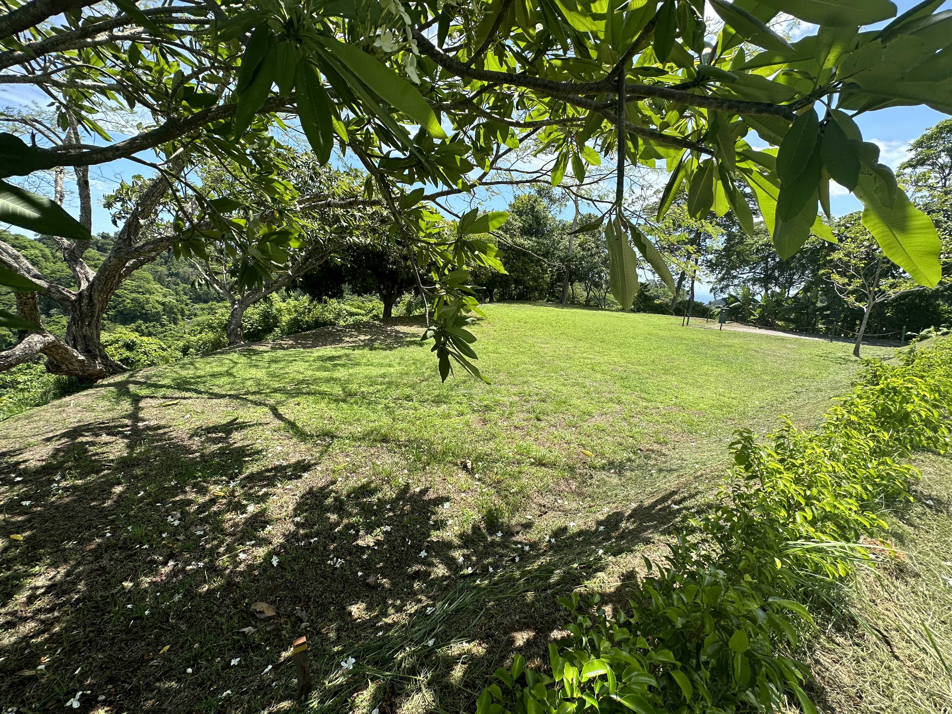 0 bed Land For Sale in Los Suenos, Puntarenas - thumb 4