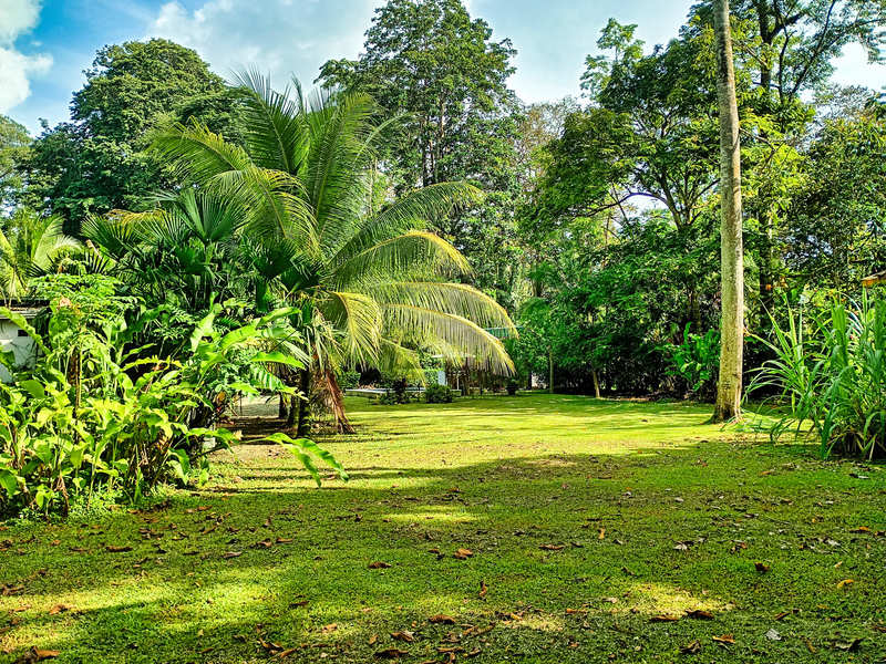 3 bed Hotel / Leisure For Sale in Puerto Viejo, Limón - hero 8