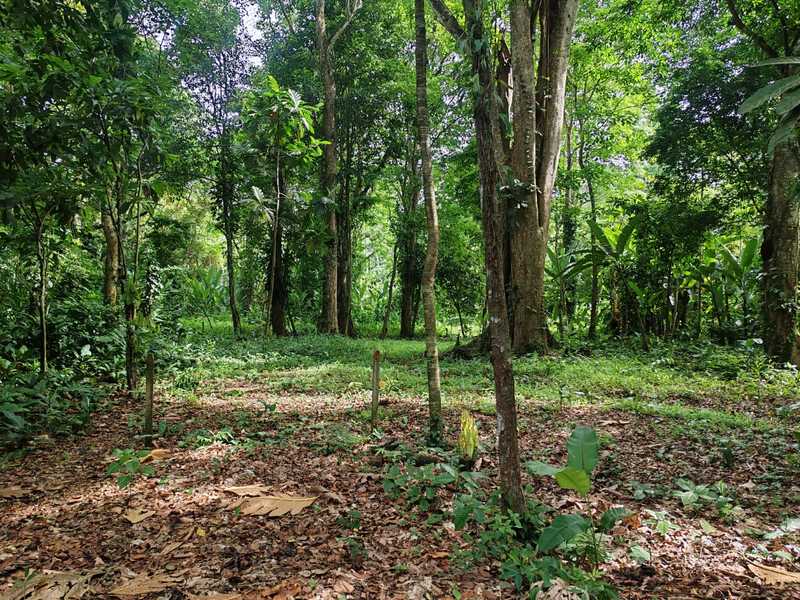 0 bed Land For Sale in Puerto Viejo, Limón - 1