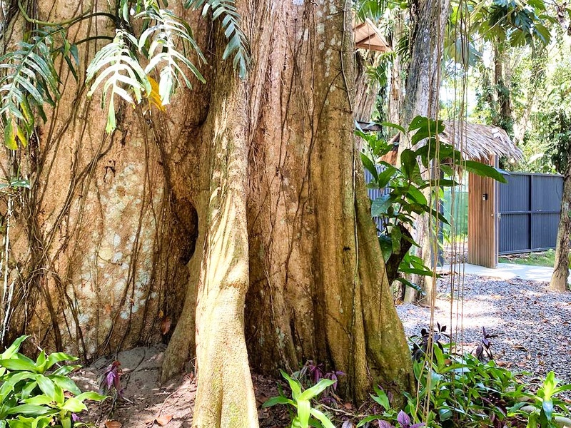 2 bed Hotel / Leisure For Sale in Puerto Viejo, Limón - hero 24
