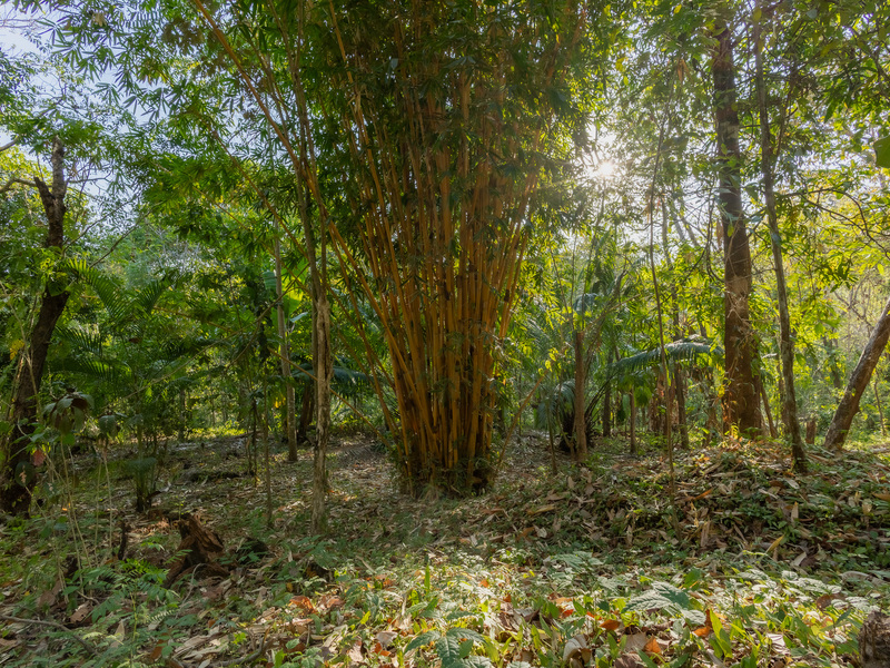 0 bed Land For Sale in Santiago, Puntarenas - hero 18