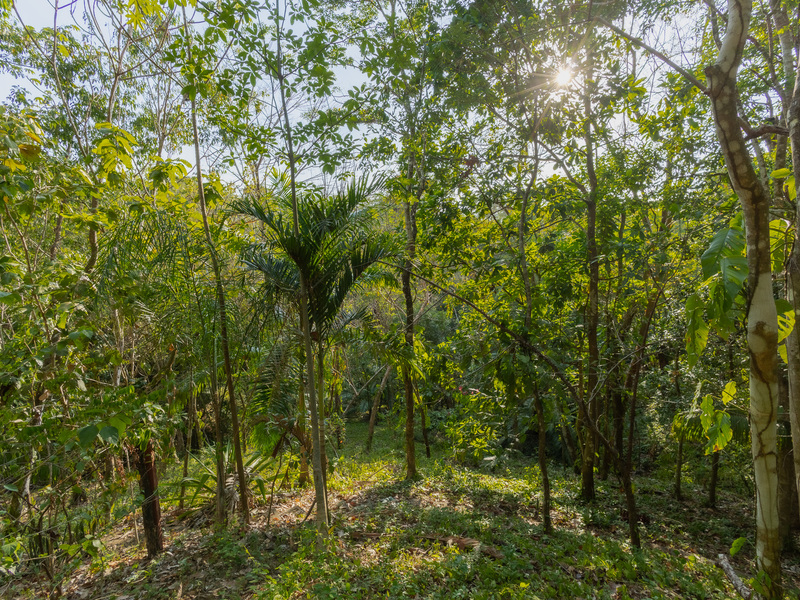 0 bed Land For Sale in Santiago, Puntarenas - hero 24