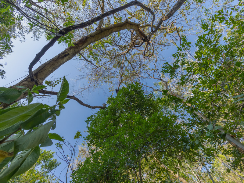 0 bed Land For Sale in Santiago, Puntarenas - hero 30