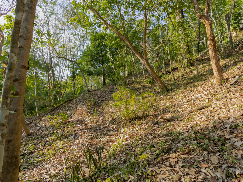 0 bed Land For Sale in Santiago, Puntarenas - hero 26