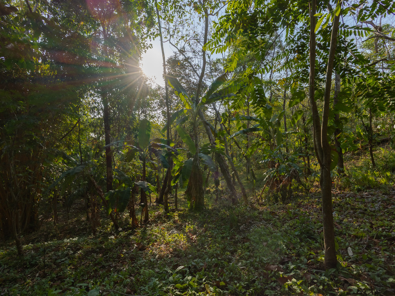 0 bed Land For Sale in Santiago, Puntarenas - hero 19