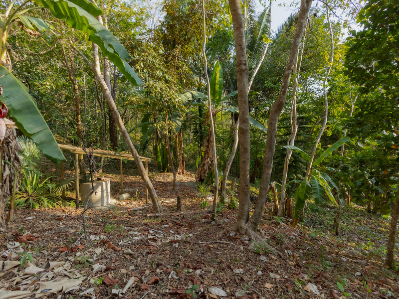 0 bed Land For Sale in Santiago, Puntarenas - hero 17