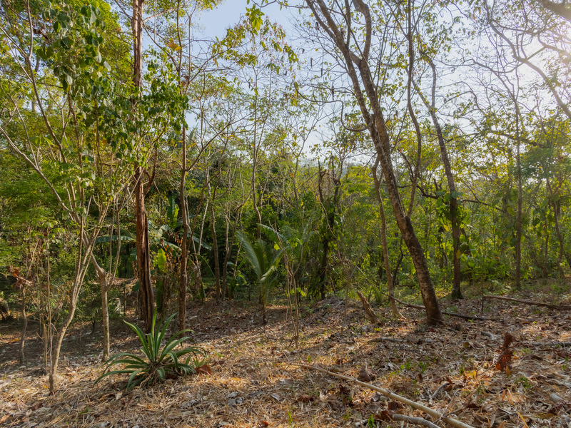 0 bed Land For Sale in Santiago, Puntarenas - hero 16
