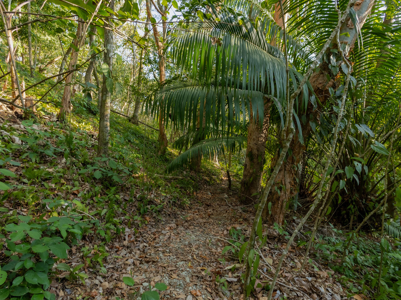 0 bed Land For Sale in Santiago, Puntarenas - hero 23
