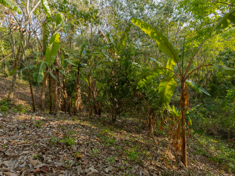0 bed Land For Sale in Santiago, Puntarenas - hero 27