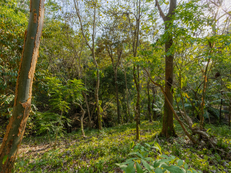 0 bed Land For Sale in Santiago, Puntarenas - hero 29