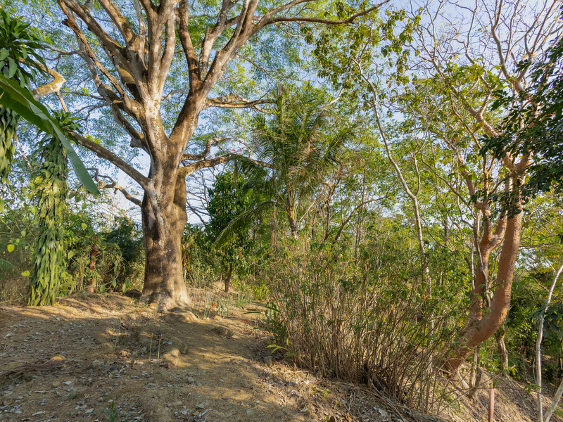 0 bed Land For Sale in Santiago, Puntarenas - hero 15