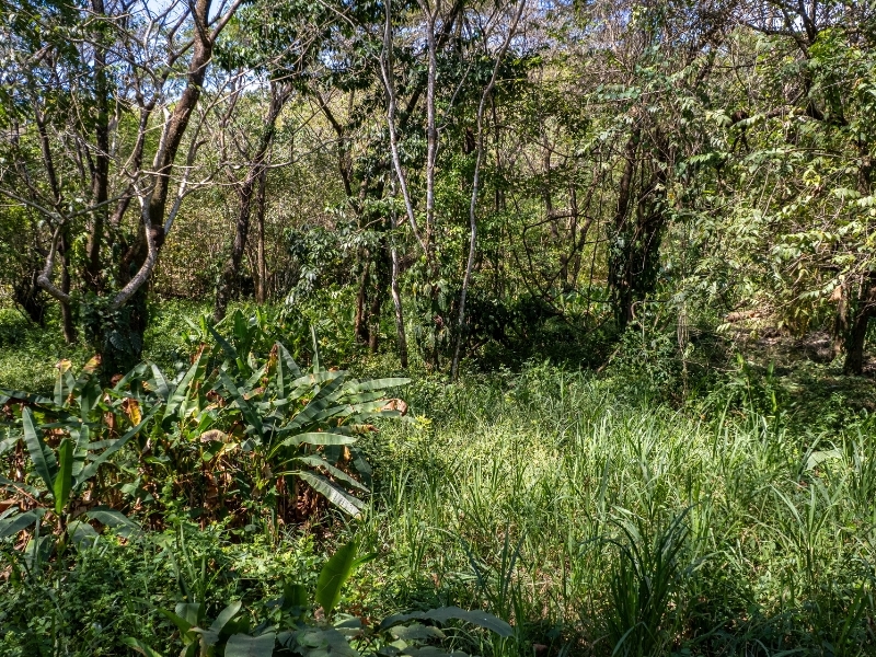 0 bed Land For Sale in Cabuya, Puntarenas - hero 13