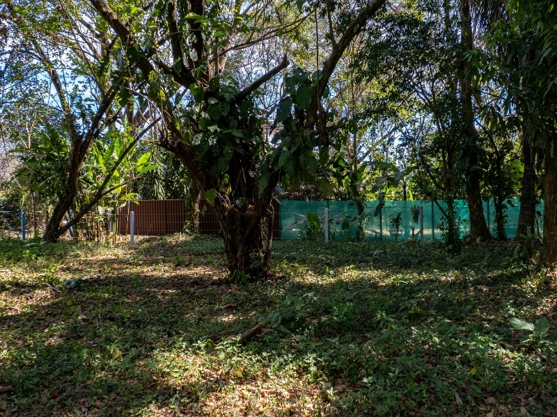 0 bed Land For Sale in Cabuya, Puntarenas - hero 11